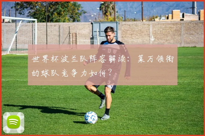 世界杯波兰队阵容解读：莱万领衔的球队竞争力如何？
