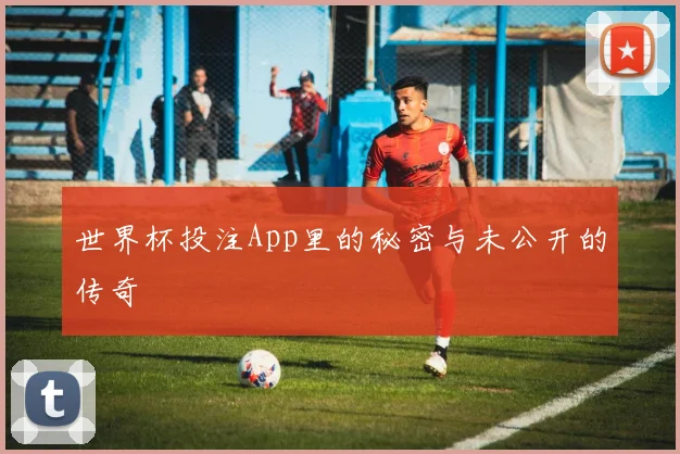 世界杯投注App里的秘密与未公开的传奇