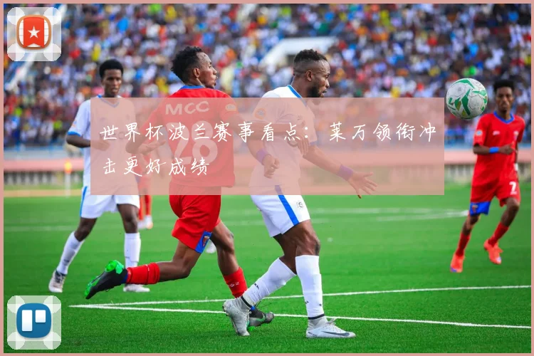 世界杯波兰赛事看点：莱万领衔冲击更好成绩