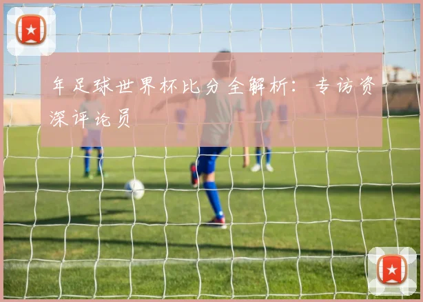 年足球世界杯比分全解析：专访资深评论员