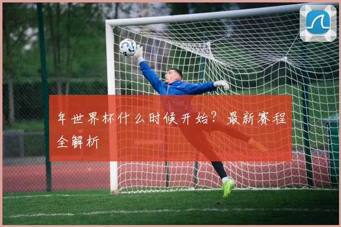 年世界杯什么时候开始?最新赛程全解析