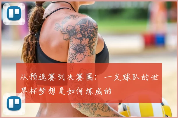 从预选赛到决赛圈：一支球队的世界杯梦想是如何炼成的