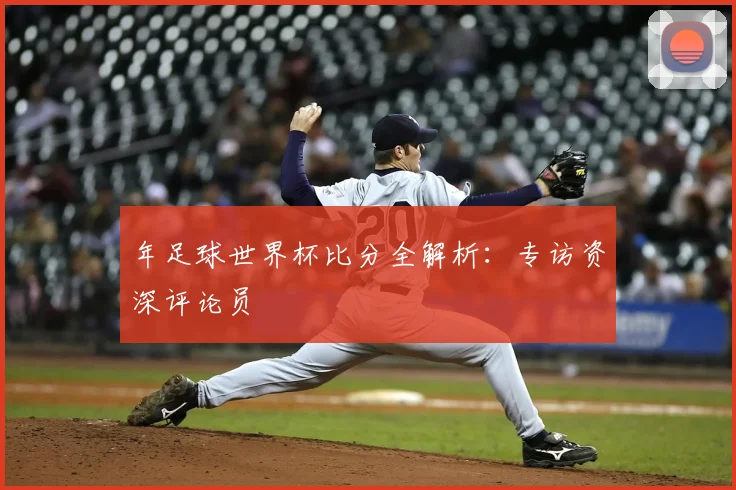 年足球世界杯比分全解析：专访资深评论员