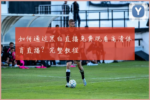 如何通过黑白直播免费观看高清体育直播？完整教程