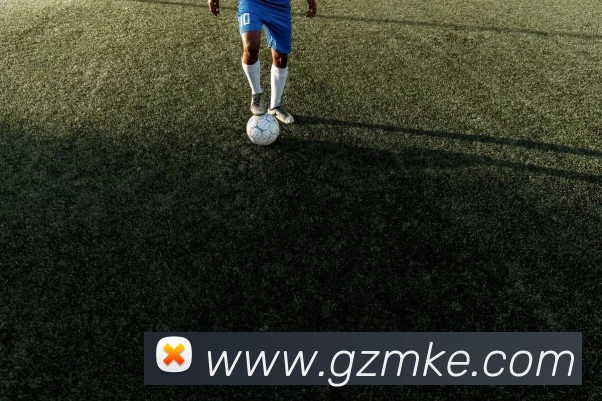 米兰官方网站入口平台生态图